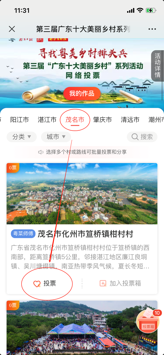 投票！茂名这些乡村要出道，等你来打call