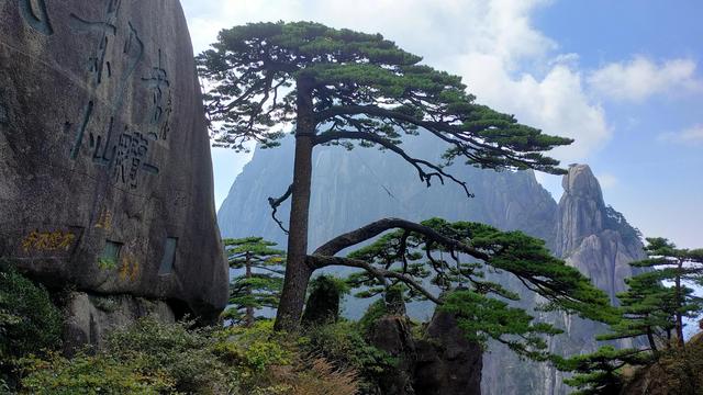 从合肥坐汽车直达黄山风景区南门汤口镇