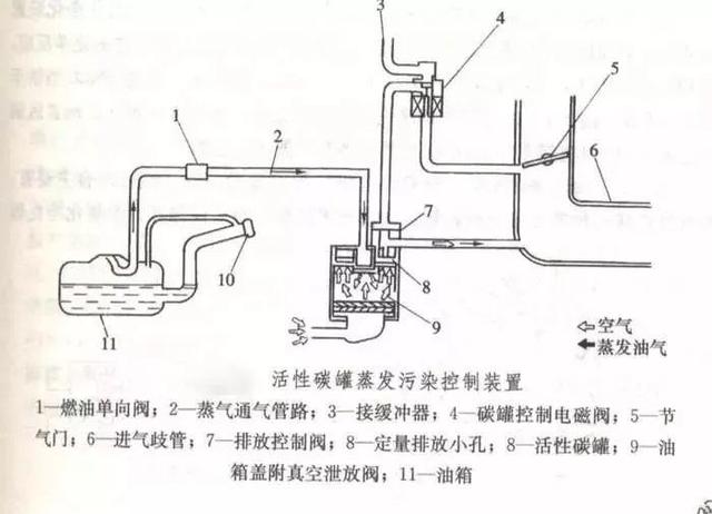 为什么说汽车上的活性炭罐是可有可无的？-啄木鸟大师