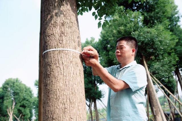 车主故事：开不坏的吉利远景 累计行驶133万公里无大修的背后