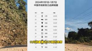 汽车小辣椒(2024年第一周理想汽车销量腰斩，首次被问界超越#抖音汽车)