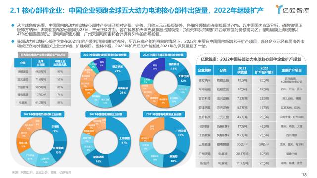 2022年全球新能源汽车动力电池发展研究报告（抓住发展新机遇）