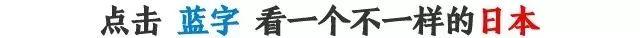 因为价格太便宜，日本小哥疫情期间冲动买下了一辆公交车……