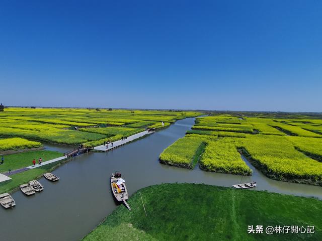 和续航焦虑说不！假期往返上海泰兴，新能源车自驾游幸福满满