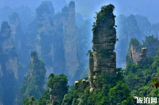 清明节去神级景区张家界旅游需要多少钱 两天时间可以玩什么