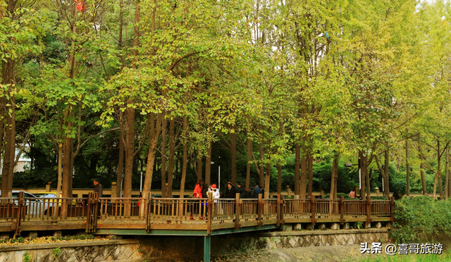 浙江丽水市缙云县值得游玩的旅游景点有哪些？自驾游有什么攻略？