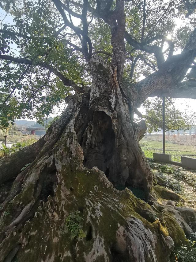 拜读宰相故里——雄村