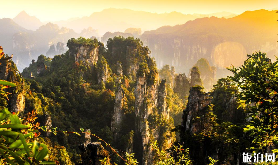 清明节去神级景区张家界旅游需要多少钱 两天时间可以玩什么