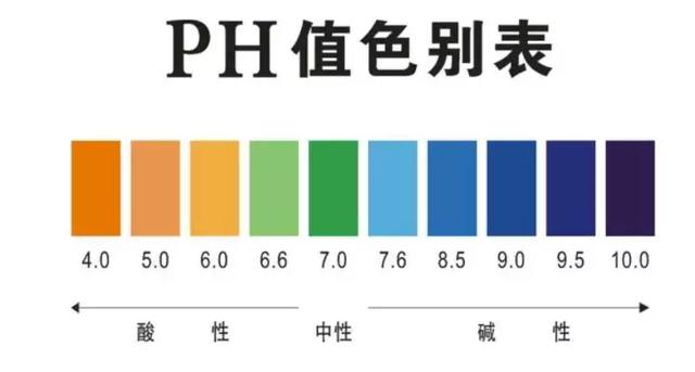 试用了JM的四款面膜，还是较中意这一款