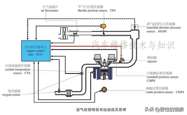 史上最全轿车解剖结构分析图