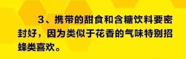 野蜂爱上小白车，司机好为难