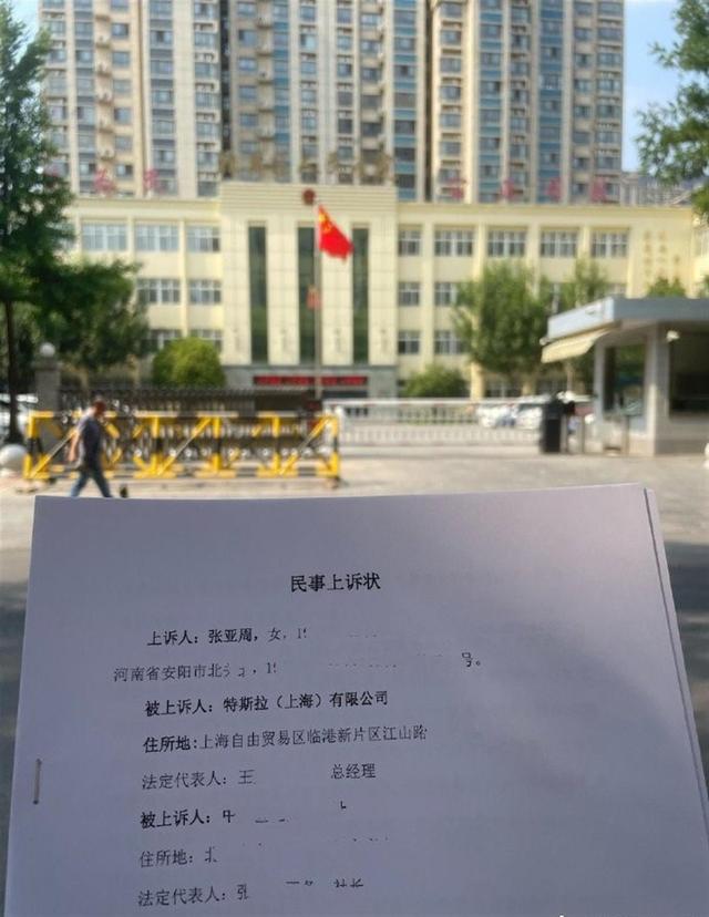 河南特斯拉“车顶维权”女车主败诉后上诉：不要赔偿，只求道歉