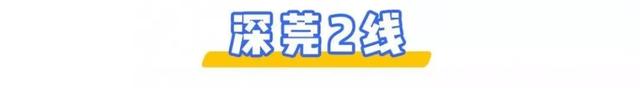 深圳⇌东莞12条公交线大合集！2块钱起步