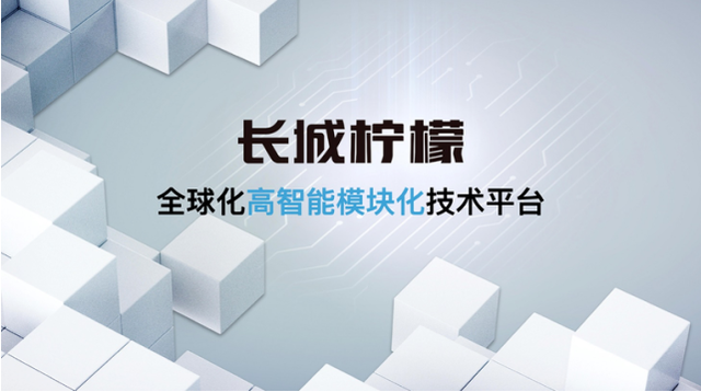 号称“SUV领导者”的长城，终于要造轿车了，国人会买单吗？