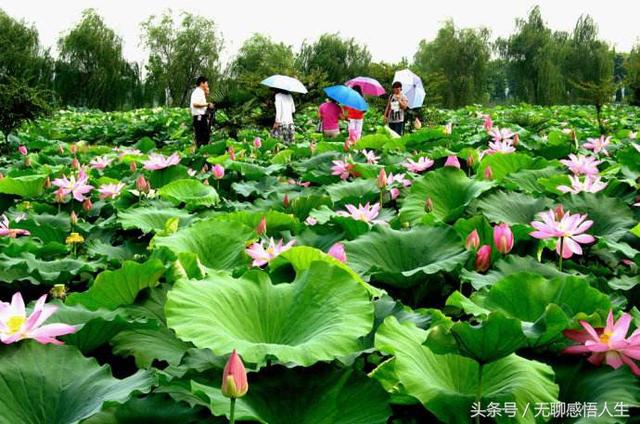 中国县域介绍——江苏省淮安市金湖县