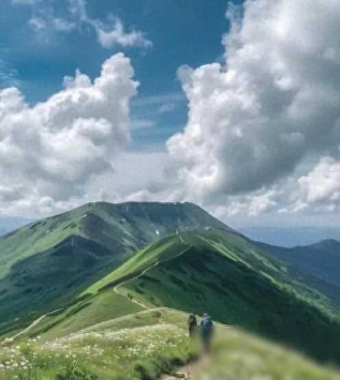 汽车文化探秘】中国车市的独特风景