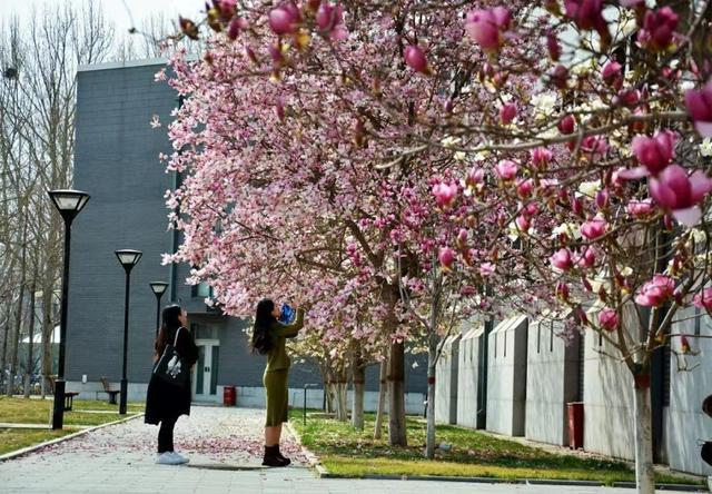 多图预警！北京一高校曝光“最美校花”，神仙颜值惊艳众人！