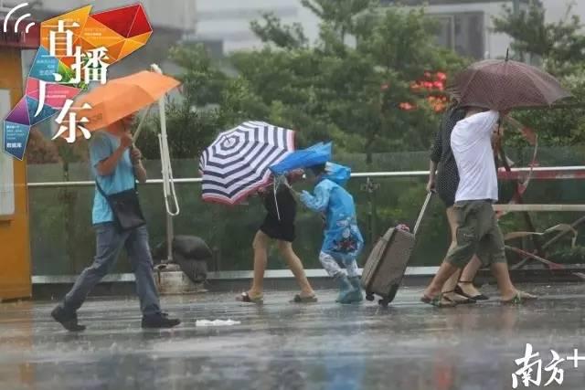 强台风“海马”侵袭广东！ 这匹脱缰野“马”有多疯？！（图集）