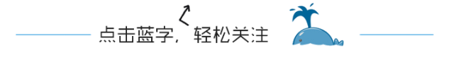 别被销售忽悠啦！20万以内车通常买不到真皮座椅……