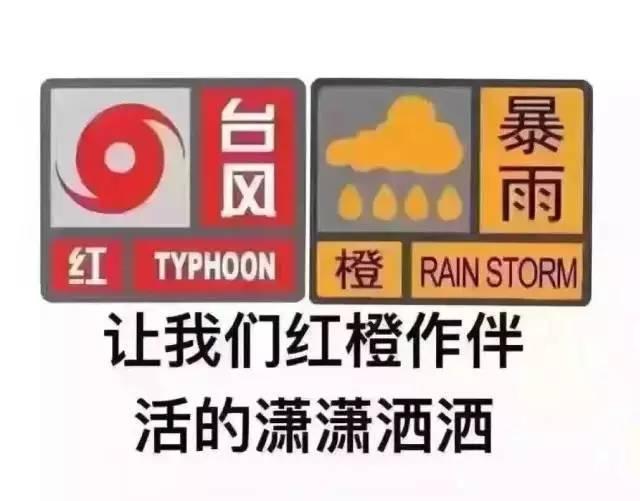 强台风“海马”侵袭广东！ 这匹脱缰野“马”有多疯？！（图集）