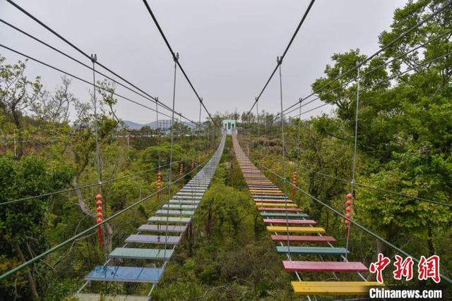 浙江台州沿海小村求索共富路：“4951”股份众筹闯新路