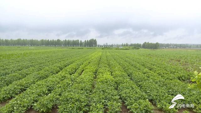 邹城、诸城、沂水出现大暴雨！鲁东南、半岛局部仍有短时强降水+9级大风