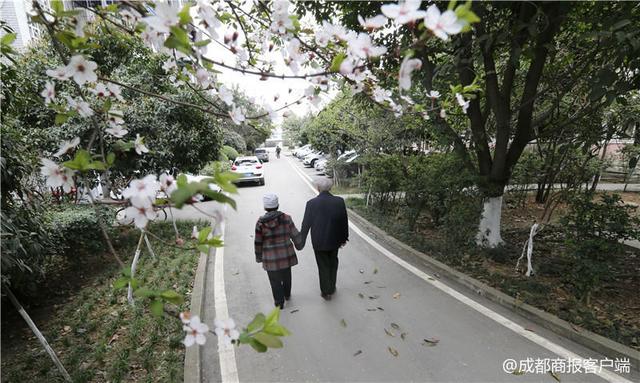 视频｜超有爱！成都女孩给8旬爷爷奶奶拍迟到66年的婚纱照