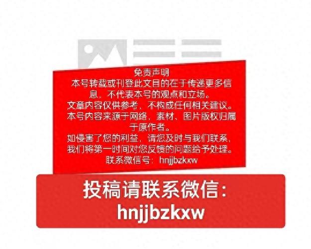 关于干部任前公示的公告