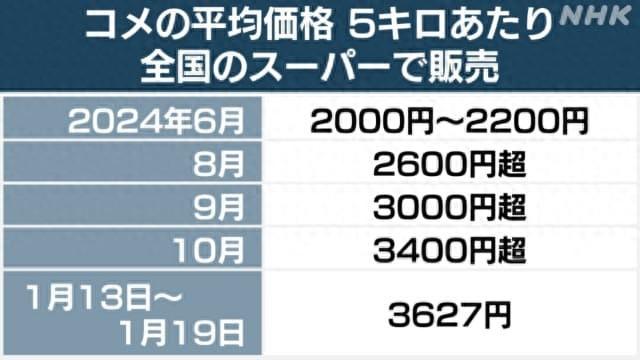 大米价格平均上涨80%，日本政府终于绷不住了