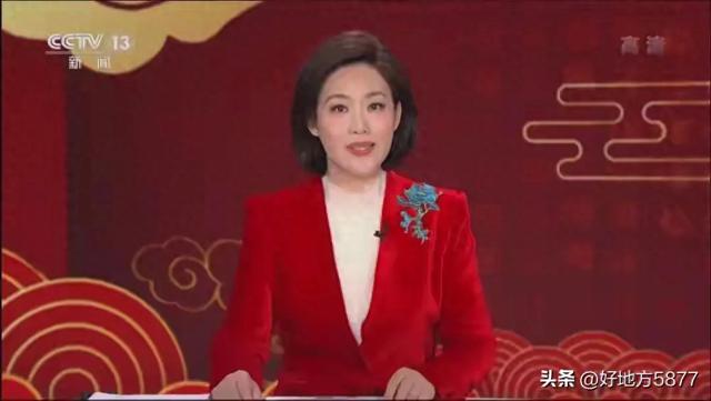 央视女主播郑丽的丁克反转故事：从事业女性到高龄妈妈的转变之路