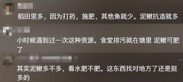 湖北女子野外挖泥鳅，被500万人观看，挖太多被质疑：自己放的？