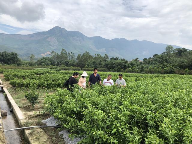 “新农培”走进坂里乡，助推乡村产业兴旺