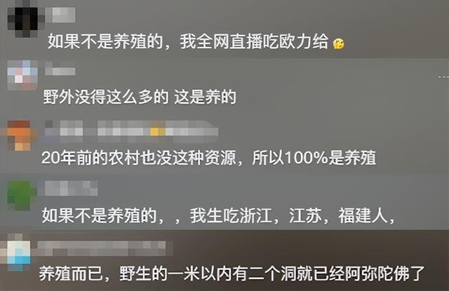 湖北女子野外挖泥鳅，被500万人观看，挖太多被质疑：自己放的？